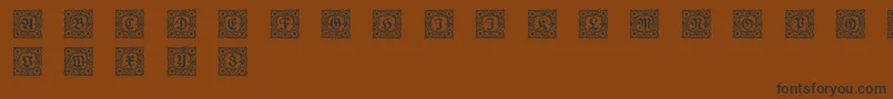 Schmuckinitialen1 Font – Black Fonts on Brown Background