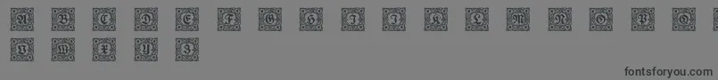 フォントSchmuckinitialen1 – 黒い文字の灰色の背景