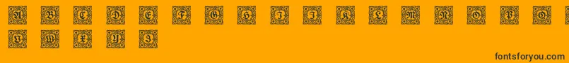 Schmuckinitialen1 Font – Black Fonts on Orange Background