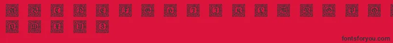 Schmuckinitialen1 Font – Black Fonts on Red Background