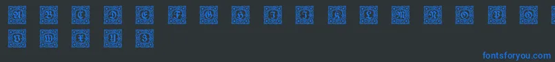 Schmuckinitialen1 Font – Blue Fonts on Black Background