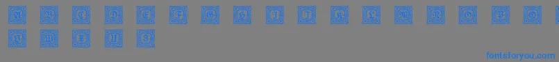 Schmuckinitialen1 Font – Blue Fonts on Gray Background
