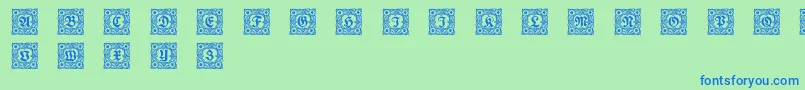 Schmuckinitialen1 Font – Blue Fonts on Green Background