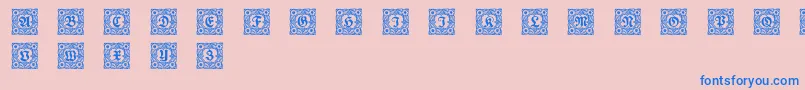 Schmuckinitialen1 Font – Blue Fonts on Pink Background