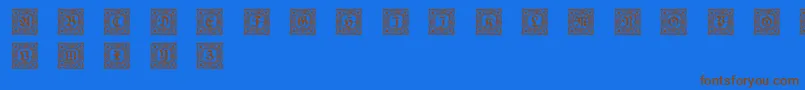 Schmuckinitialen1 Font – Brown Fonts on Blue Background
