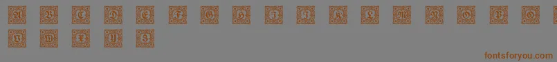 Schmuckinitialen1 Font – Brown Fonts on Gray Background