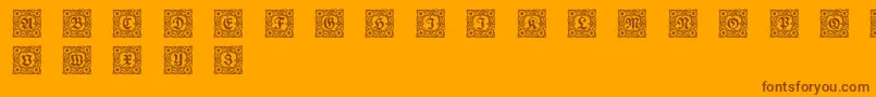 Schmuckinitialen1 Font – Brown Fonts on Orange Background