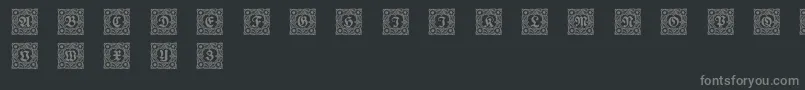 Schmuckinitialen1 Font – Gray Fonts on Black Background