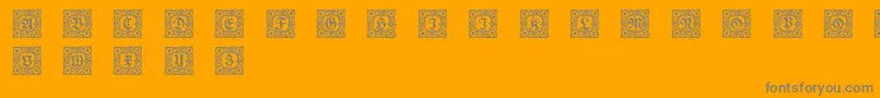 Schmuckinitialen1 Font – Gray Fonts on Orange Background