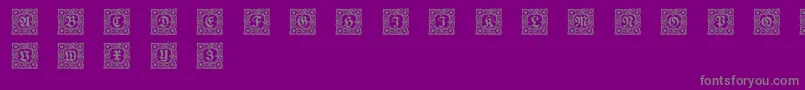Schmuckinitialen1 Font – Gray Fonts on Purple Background