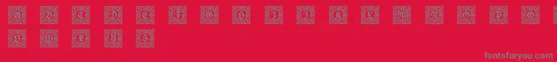 Schmuckinitialen1 Font – Gray Fonts on Red Background