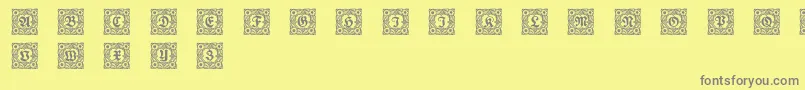 Schmuckinitialen1 Font – Gray Fonts on Yellow Background