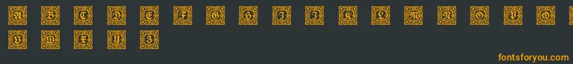 Schmuckinitialen1 Font – Orange Fonts on Black Background