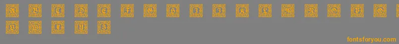 Schmuckinitialen1 Font – Orange Fonts on Gray Background