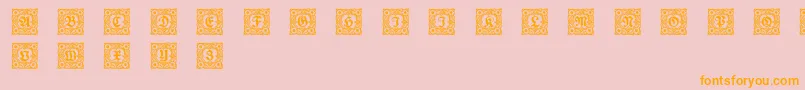 Schmuckinitialen1 Font – Orange Fonts on Pink Background