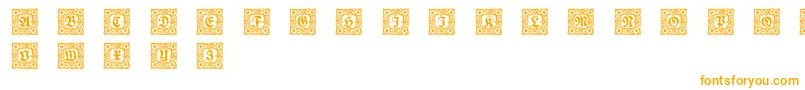 Schmuckinitialen1 Font – Orange Fonts on White Background