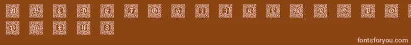 Schmuckinitialen1 Font – Pink Fonts on Brown Background