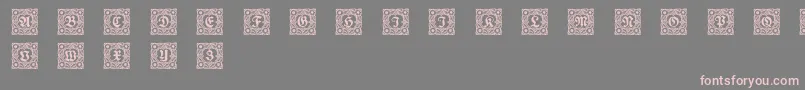 Schmuckinitialen1 Font – Pink Fonts on Gray Background