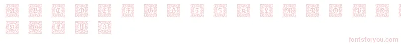 Schmuckinitialen1 Font – Pink Fonts on White Background