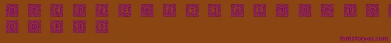 Schmuckinitialen1 Font – Purple Fonts on Brown Background