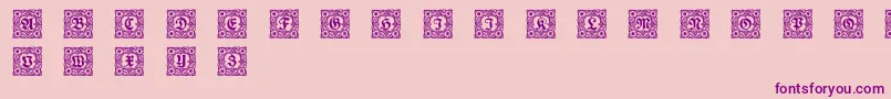 Schmuckinitialen1 Font – Purple Fonts on Pink Background