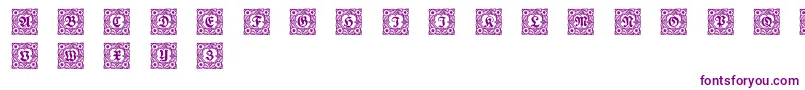 Schmuckinitialen1 Font – Purple Fonts on White Background