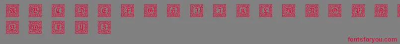 Schmuckinitialen1 Font – Red Fonts on Gray Background