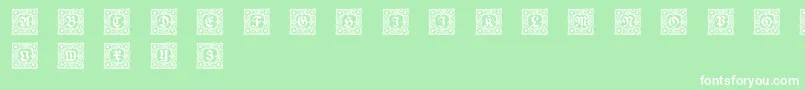 Schmuckinitialen1 Font – White Fonts on Green Background