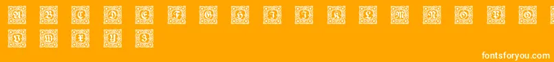 Schmuckinitialen1 Font – White Fonts on Orange Background