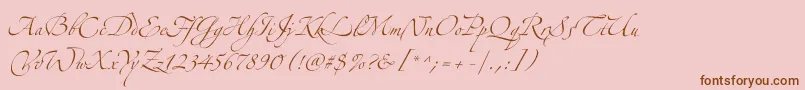 Zeferinothree Font – Brown Fonts on Pink Background