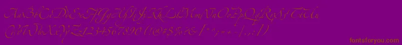 fuente Zeferinothree – Fuentes Marrones Sobre Fondo Morado