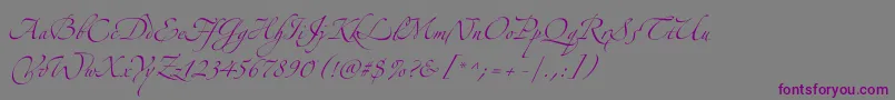 Zeferinothree-fontti – violetit fontit harmaalla taustalla