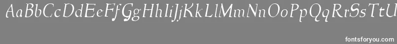 NewstylelightItalic Font – White Fonts on Gray Background