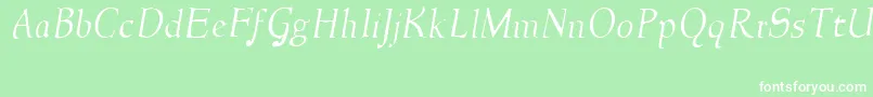 NewstylelightItalic Font – White Fonts on Green Background