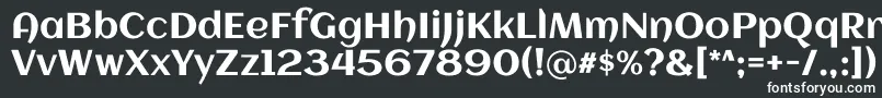 Шрифт Aclonica – белые шрифты на чёрном фоне