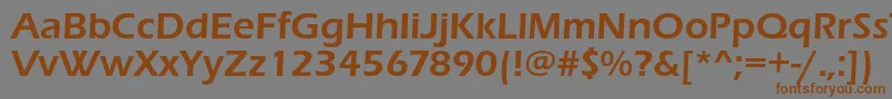 Czcionka Erasdemic – brązowe czcionki na szarym tle