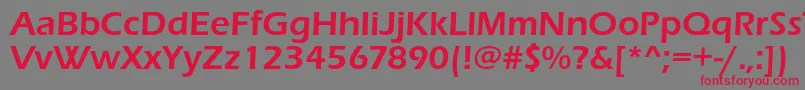 Erasdemic Font – Red Fonts on Gray Background