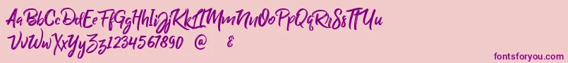 BillyOhio Font – Purple Fonts on Pink Background