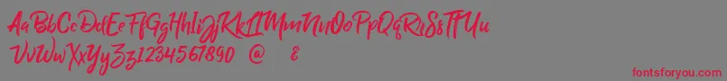 BillyOhio Font – Red Fonts on Gray Background