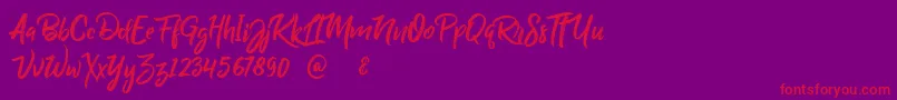 BillyOhio Font – Red Fonts on Purple Background