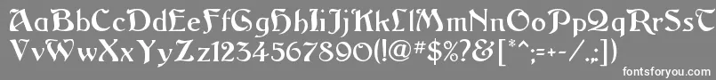 フォントArgosRegular – 灰色の背景に白い文字