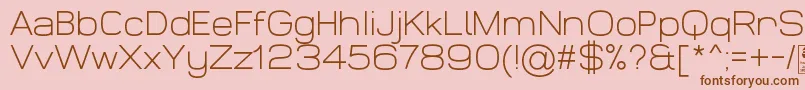 WidolteLightDemo Font – Brown Fonts on Pink Background