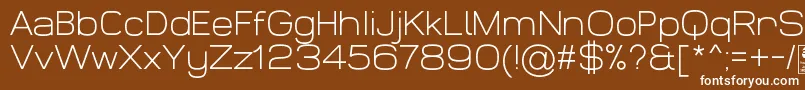 WidolteLightDemo Font – White Fonts on Brown Background