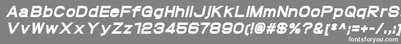 ProtofetHeavyitalic Font – White Fonts on Gray Background