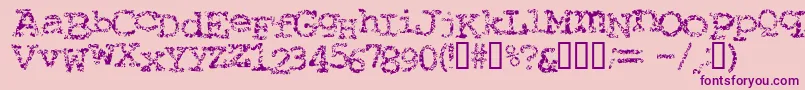 Typewriter ffy Font – Purple Fonts on Pink Background