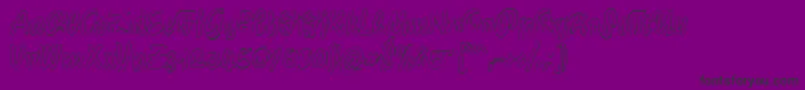 LichteGraphicCat Font – Black Fonts on Purple Background