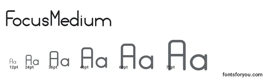 Размеры шрифта FocusMedium
