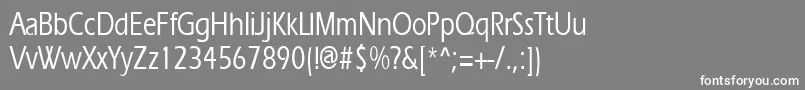 Ergoemediumcondensed Font – White Fonts on Gray Background