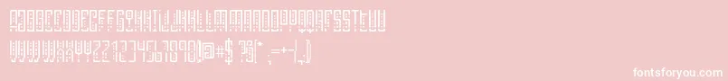SelknamUnicase Font – White Fonts on Pink Background