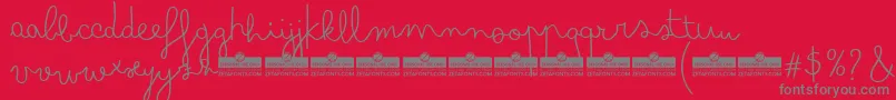 BimboFinetipTrial Font – Gray Fonts on Red Background